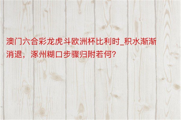 澳门六合彩龙虎斗欧洲杯比利时_积水渐渐消退，涿州糊口步骤归附若何？